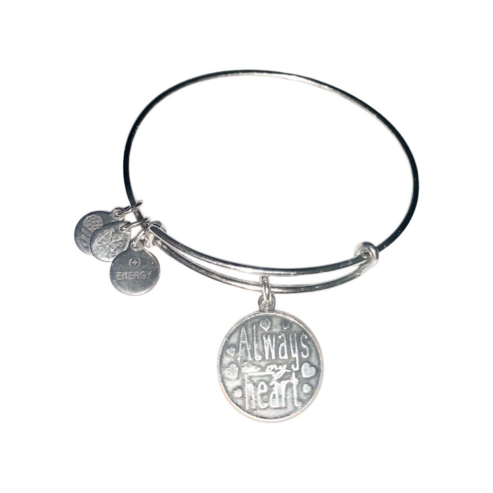 Alex and Ani Silver Bracelet w/ Charms (2) - Picture 3 of 3